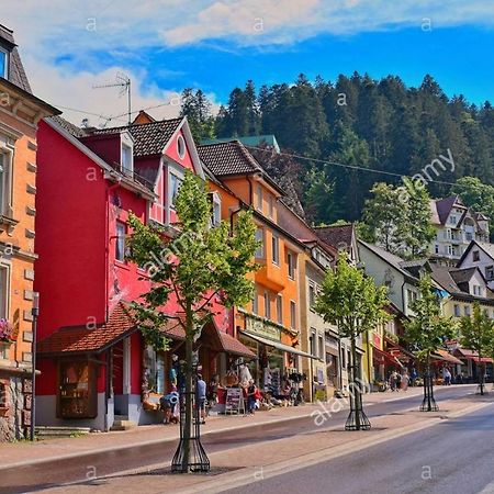 Dm Apartment Triberg im Schwarzwald ภายนอก รูปภาพ